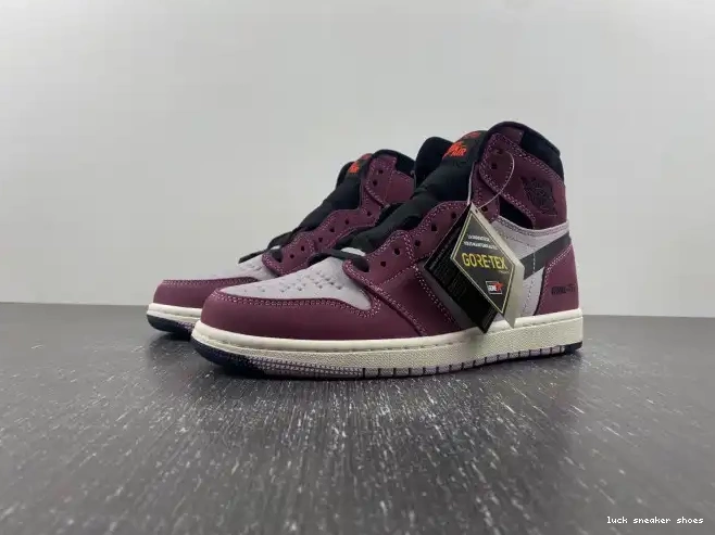 Reps LUCY 1 Gore-Tex Element DB2889-500 Jordan Air 0424